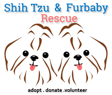 Shih Tzu and Furbaby Rescue